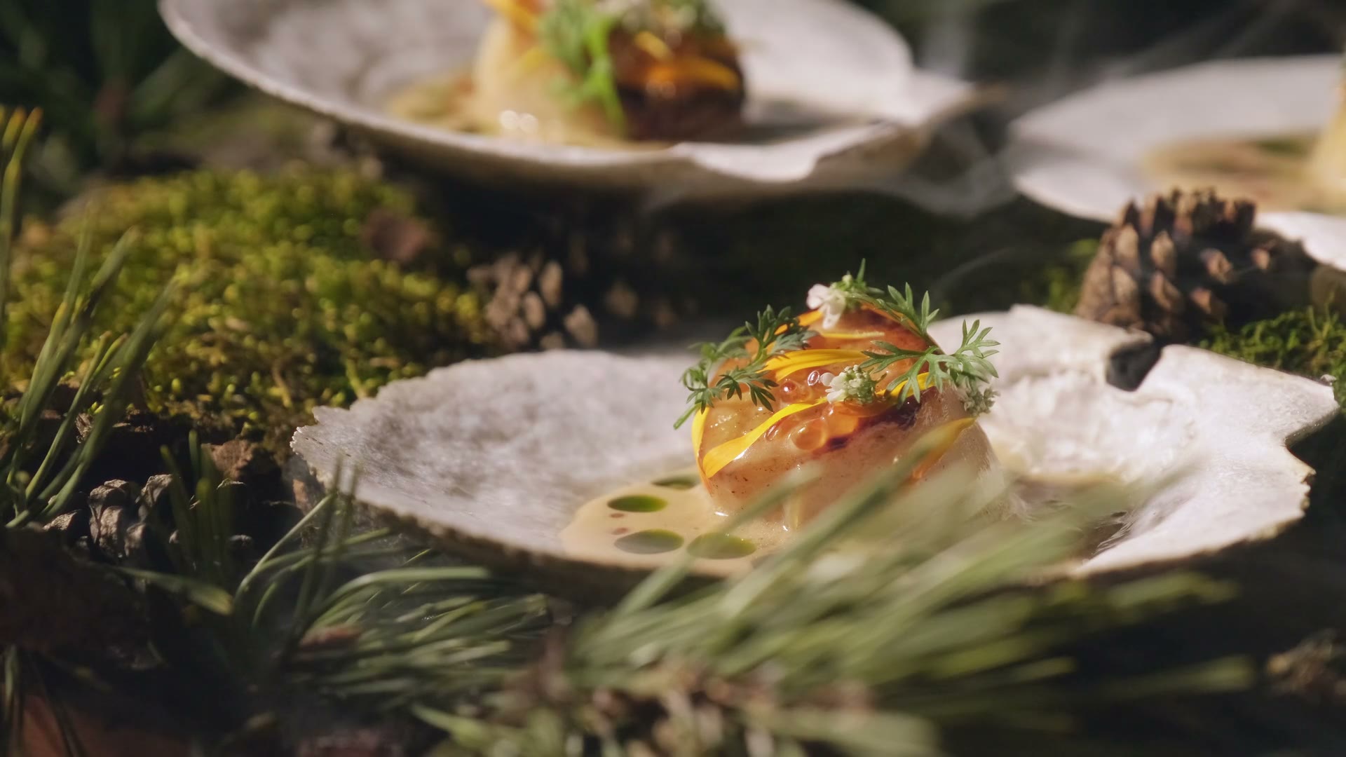 Seared scallop with trout roe and herbs served in a shell on moss and pine, a Vendador tasting menu course